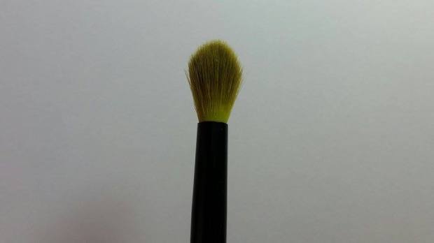 12188390_458304741008029_398203487_n